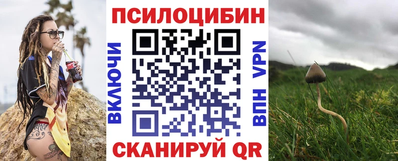 гидра как зайти  Чита  Псилоцибиновые грибы ЛСД 
